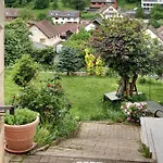 Regina's Gaestehaus Гостевой дом 3*