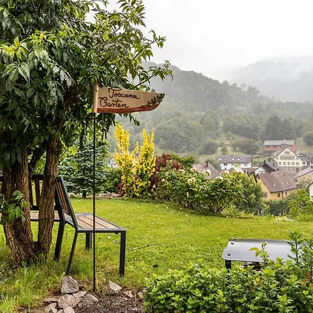 Regina's Gaestehaus Guest house Weisenbach