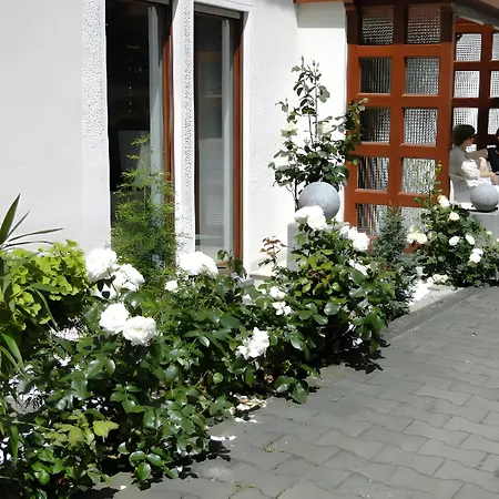 Regina's Gaestehaus Гостевой дом