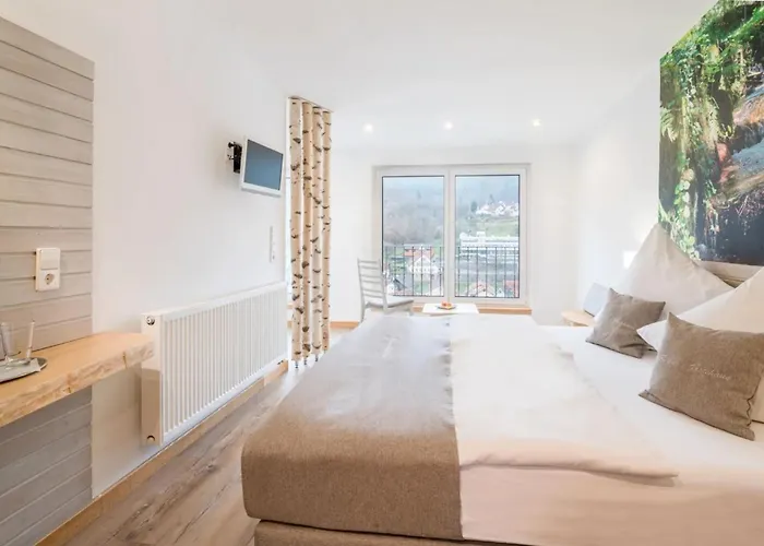 招待所 Regina's Gaestehaus 瓦森巴赫