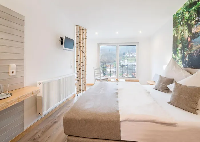 Regina's Gaestehaus 招待所 3*